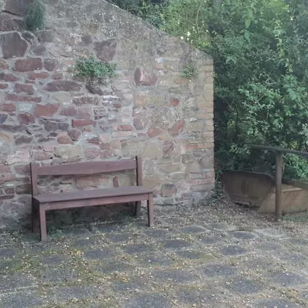 Strada Provinciale Sante Mariae Tatil Evi Grosseto